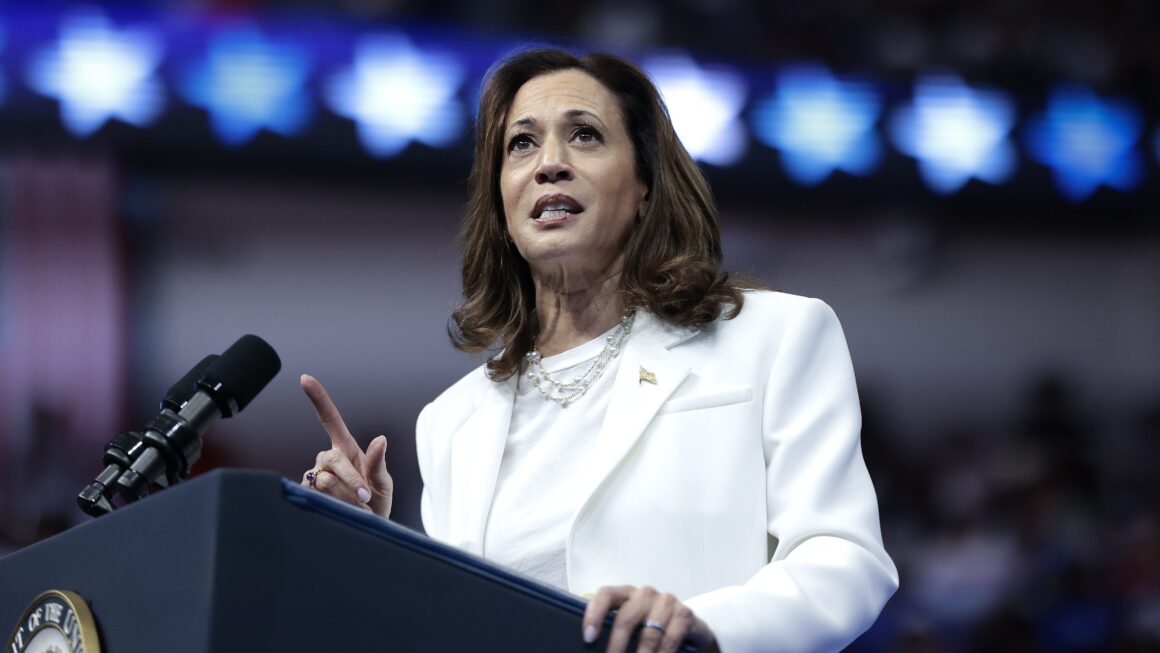 Did Kamala Harris Concede the Election? Statement Updates – YourCityWire